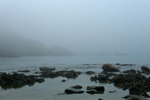 fog
